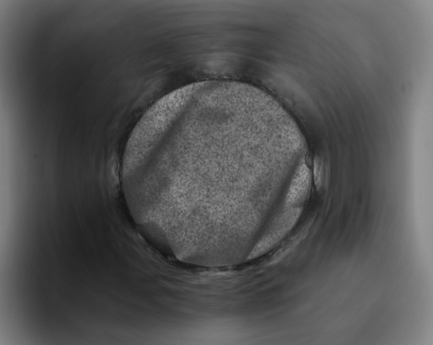 X0000094201107200711161802