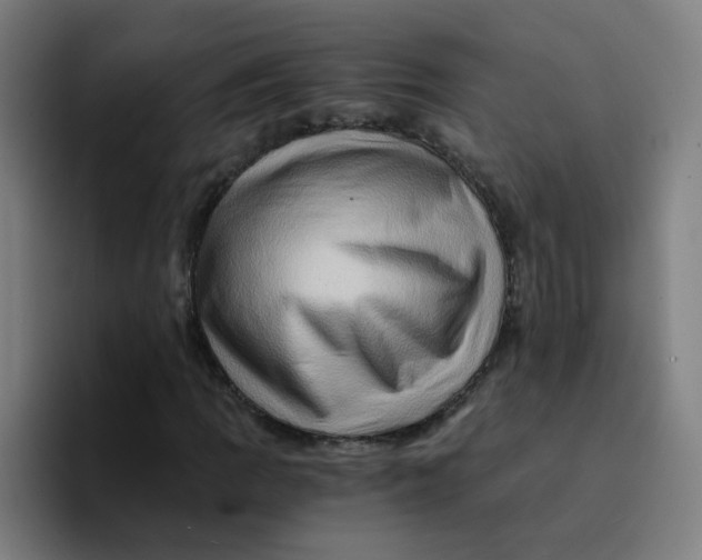 X0000094201109200711161802