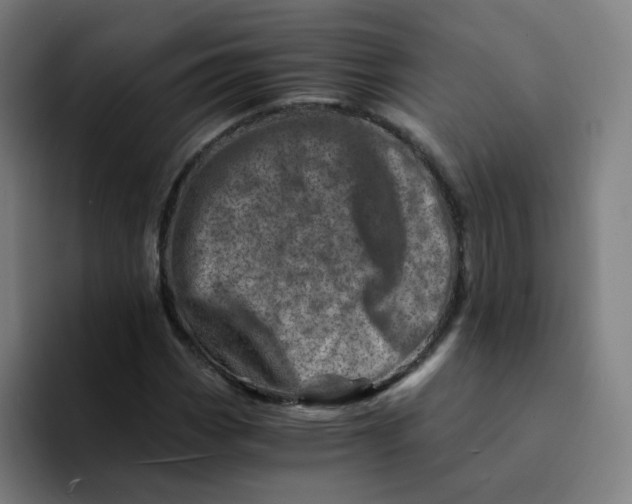 X0000094201113200711161803