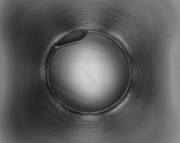 X0000094201114200711161803