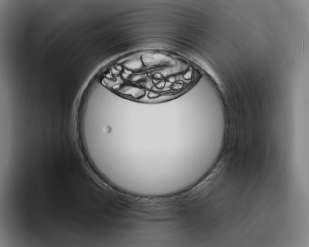 X0000094201116200711161803