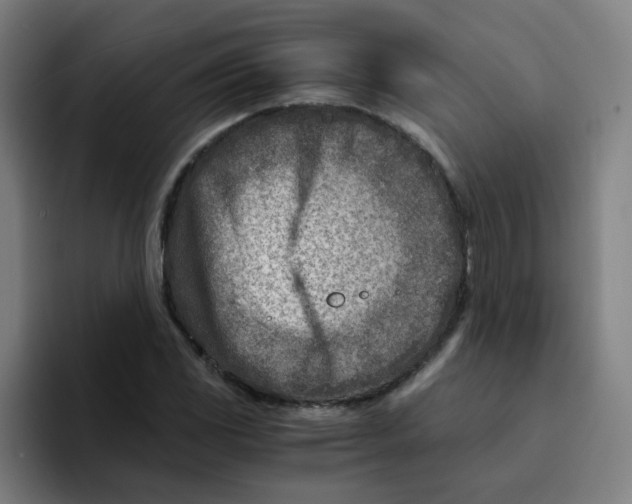 X0000094201117200711161803