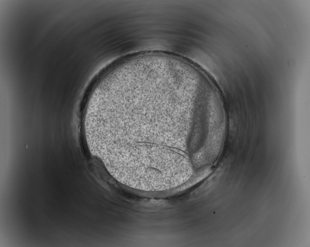 X0000094201119200711161803