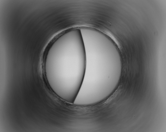 X0000094201124200711161803