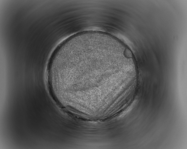 X0000094201125200711161803