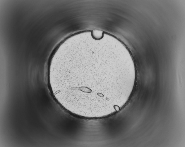 X0000094201126200711161803