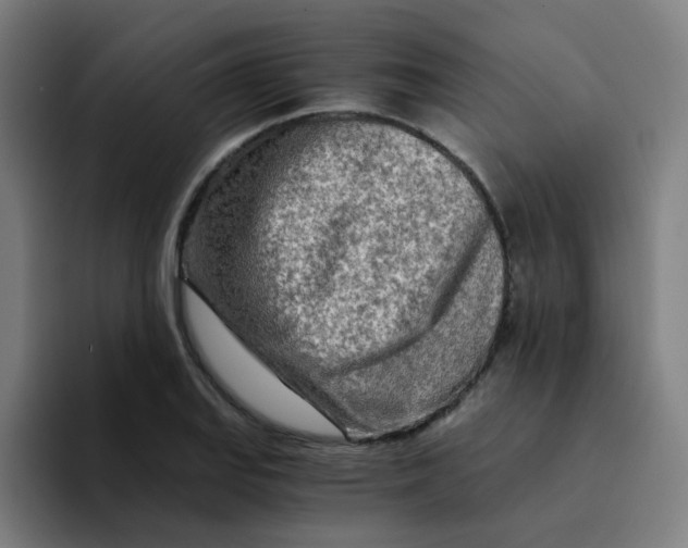 X0000094201127200711161803