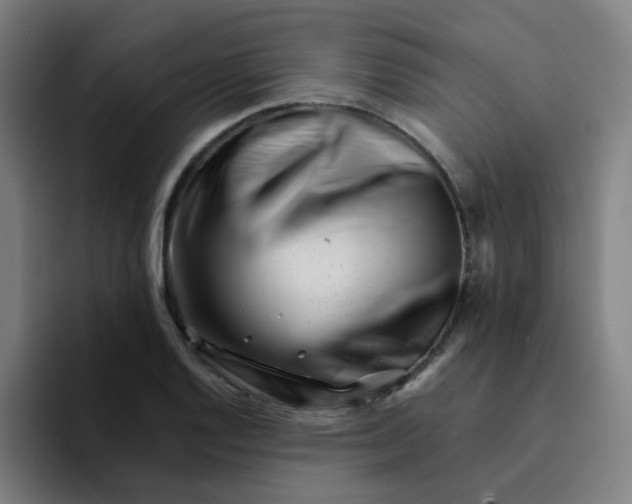 X0000094201128200711161803