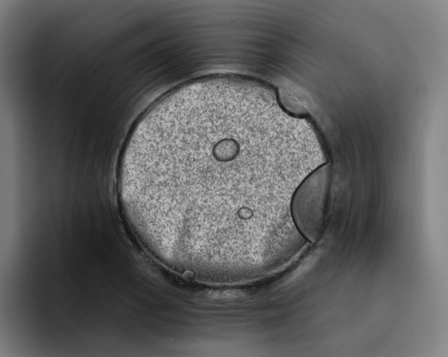 X0000094201129200711161803