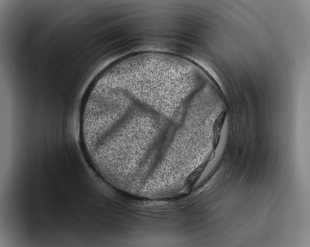 X0000094201131200711161803