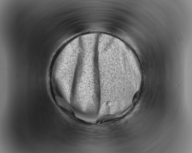 X0000094201133200711161803