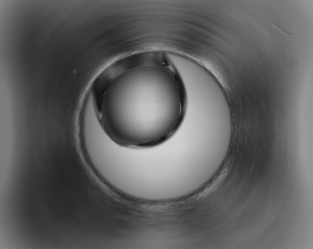 X0000094201134200711161803