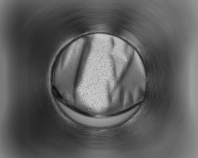 X0000094201135200711161803