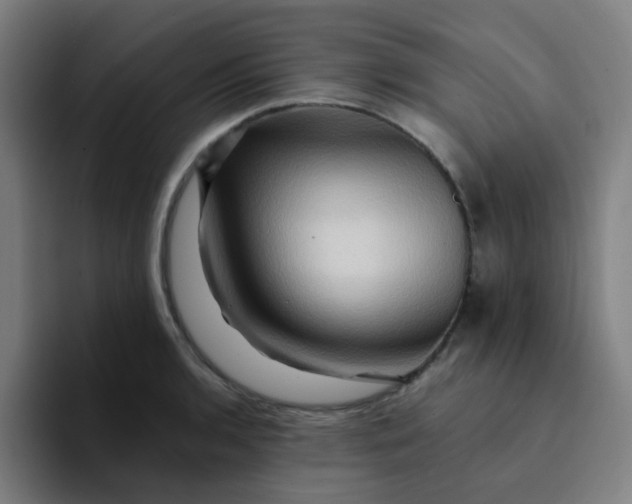 X0000094201136200711161803