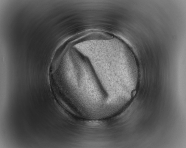 X0000094201137200711161803