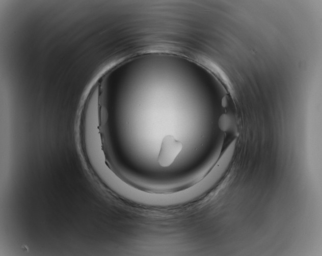 X0000094201138200711161803