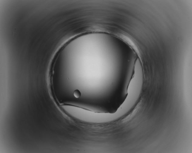 X0000094201141200711161803