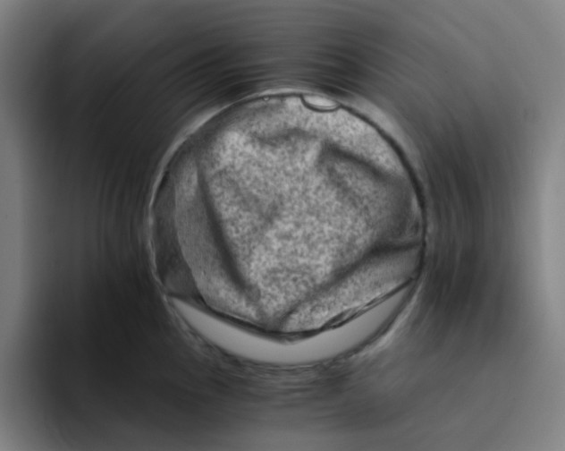 X0000094201145200711161803