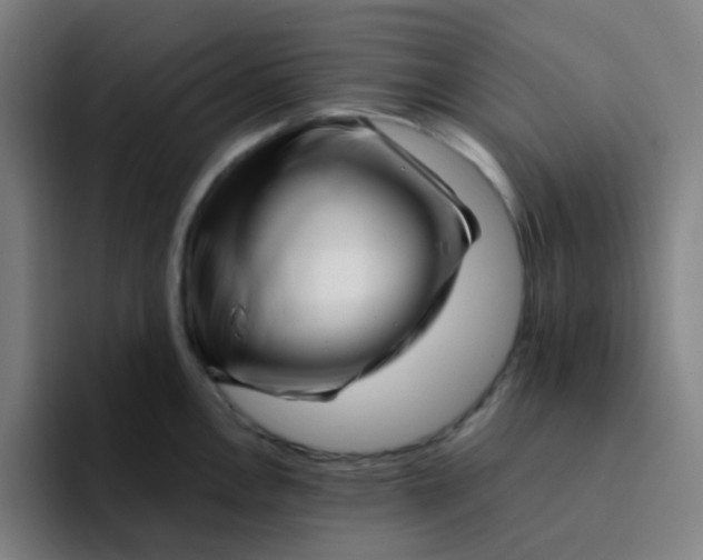 X0000094201146200711161803