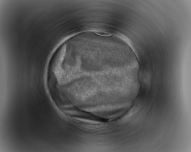 X0000094201147200711161803