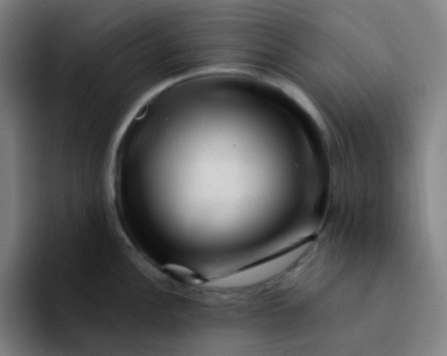 X0000094201148200711161803