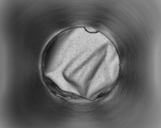 X0000094201149200711161803