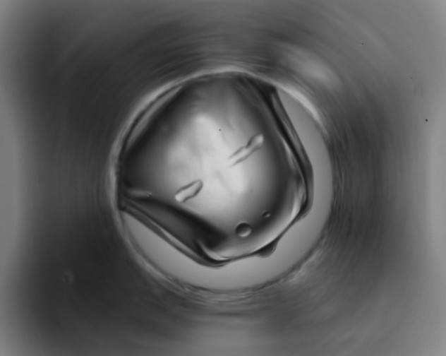 X0000094201151200711161803