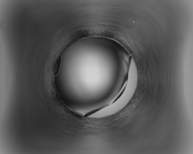 X0000094201153200711161802