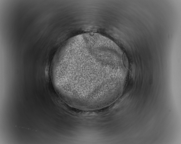 X0000094201154200711161802