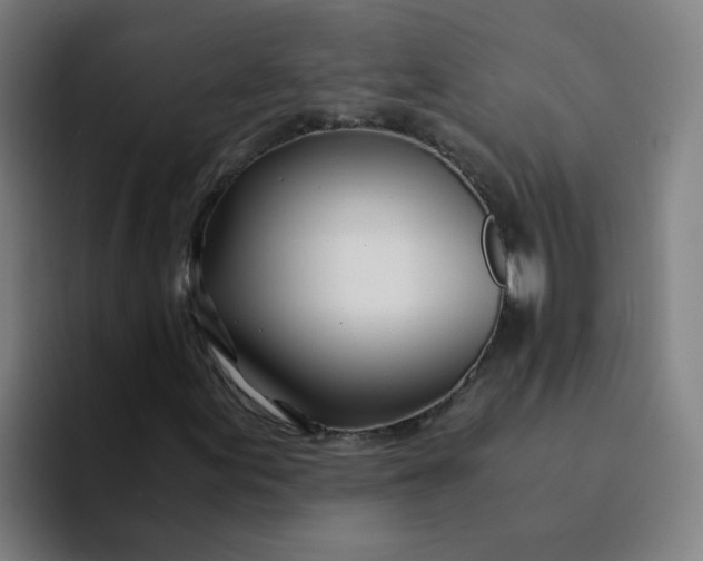 X0000094201155200711161802