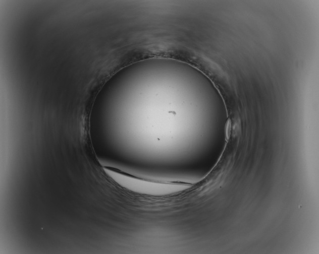 X0000094201156200711161802