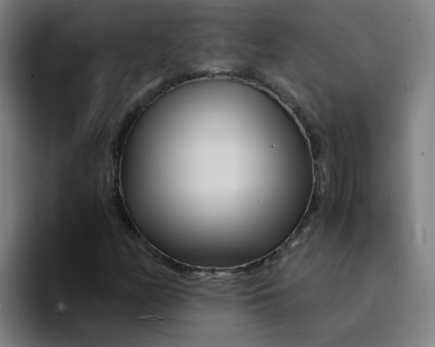 X0000094201158200711161802