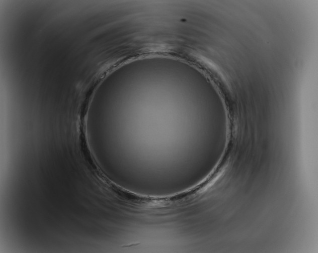 X0000094201161200711161802