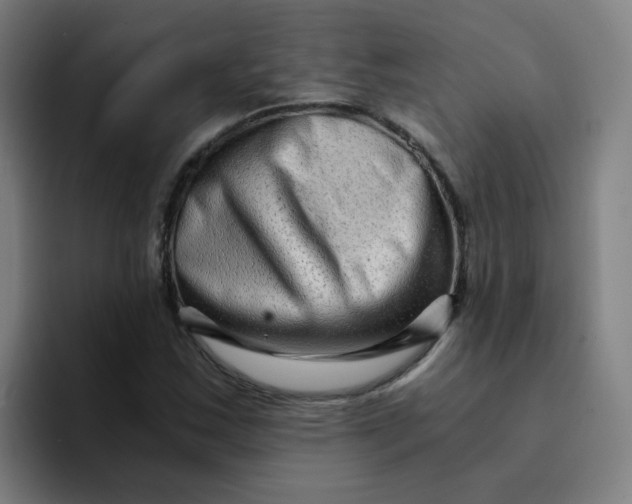 X0000094201163200711161802