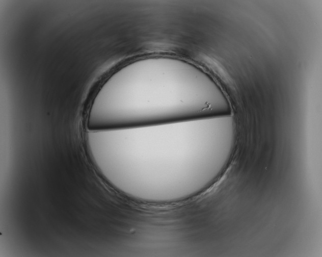 X0000094201164200711161802