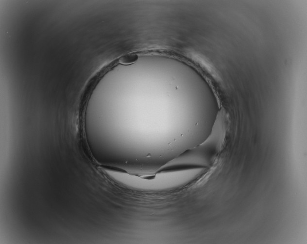 X0000094201165200711161802