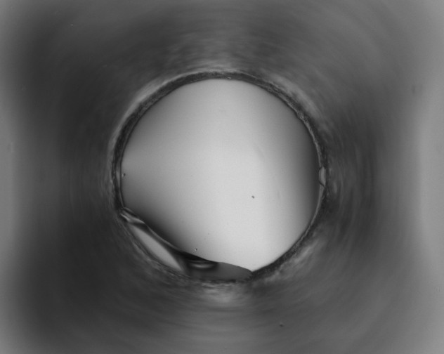 X0000094201168200711161802