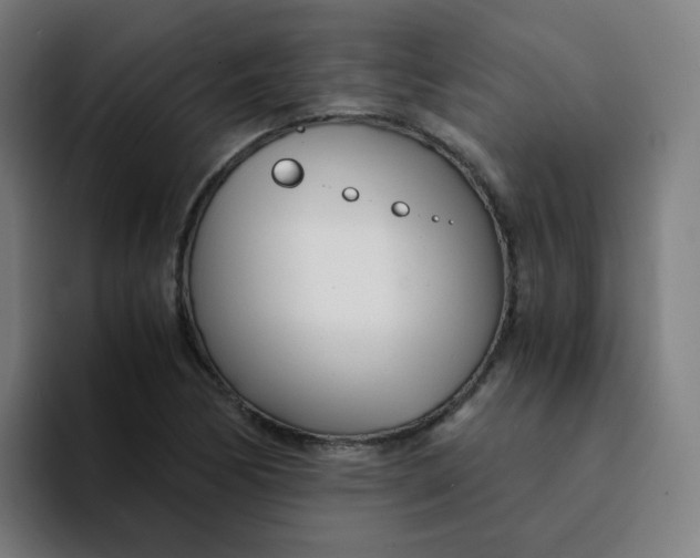 X0000094201170200711161802