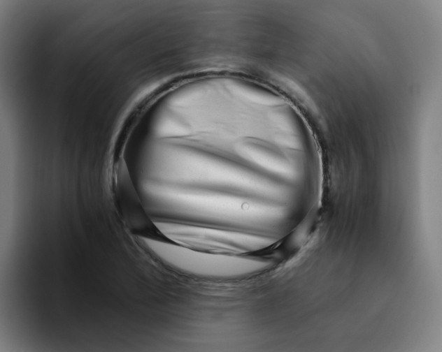 X0000094201172200711161802