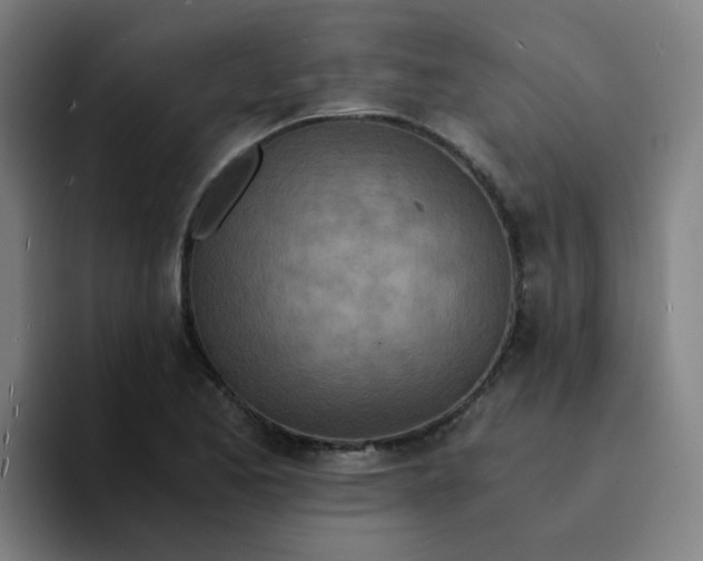 X0000094201173200711161802