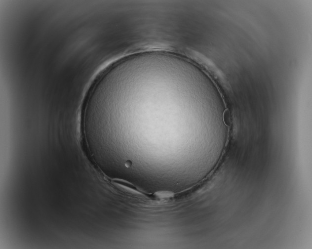 X0000094201174200711161802