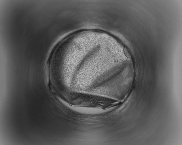 X0000094201175200711161802