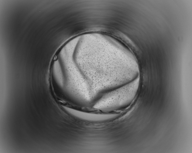 X0000094201178200711161802