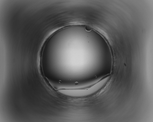 X0000094201179200711161802