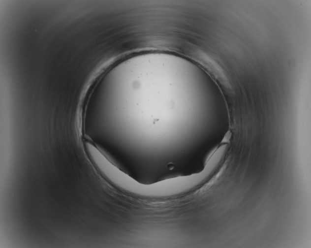 X0000094201180200711161802