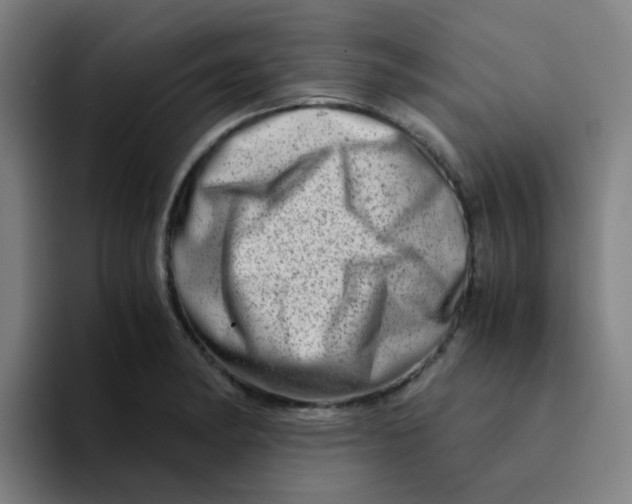 X0000094201182200711161802