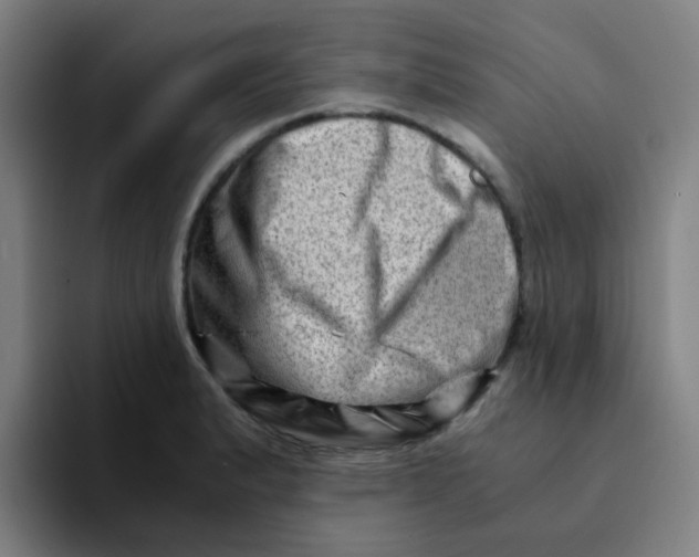 X0000094201183200711161802