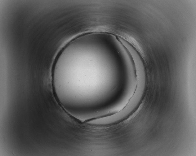 X0000094201184200711161802