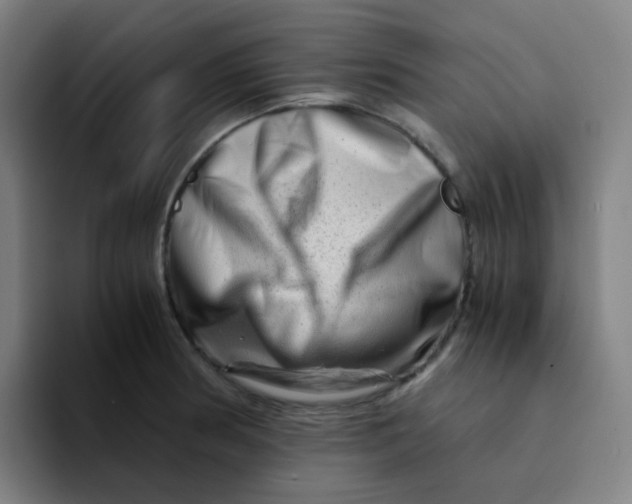 X0000094201186200711161802