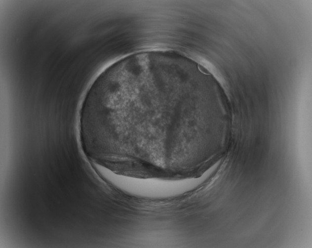 X0000094201187200711161802